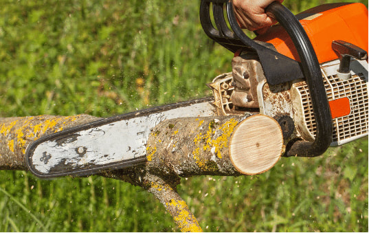 Chainsaw removing a tree