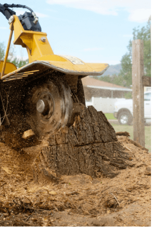 Stump removal service in Ithaca NY