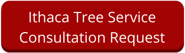 Ithaca Tree Service Consultation Request Form